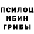 Галлюциногенные грибы Magic Shrooms 02.09.1933