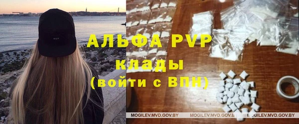 ПСИЛОЦИБИНОВЫЕ ГРИБЫ Бородино