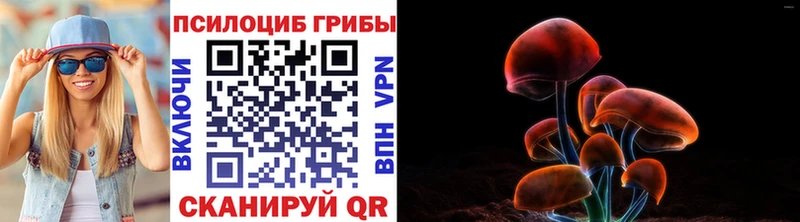 MEGA рабочий сайт  Дзержинск  Псилоцибиновые грибы GOLDEN TEACHER 