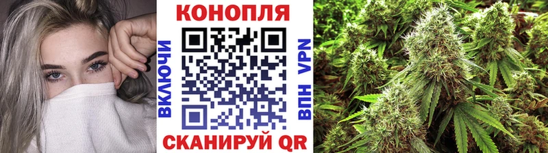 Канабис планчик  Дзержинск 